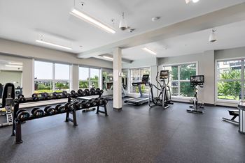 Free weights
